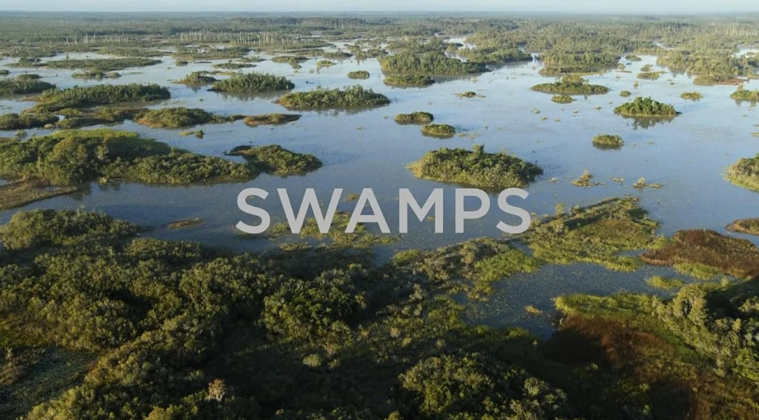 Сериал Доисторическая планета 2 сезон 3 серия смотреть онлайн