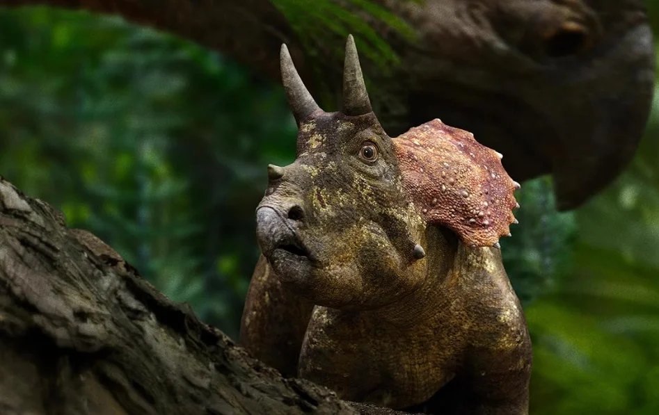 Сериал Доисторическая планета 1 сезон 5 серия смотреть онлайн